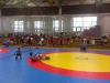 IMAG0265