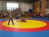 IMAG0284