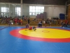 IMAG0325