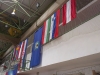 IMAG0334