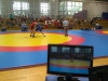 IMAG0381
