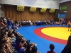 13327588_1175211299177073_4482585787588282265_n