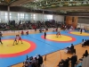 11021292_421316194710584_6867322466828212328_o